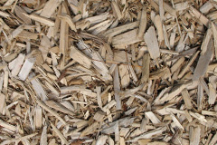 biomass boilers Peaslake